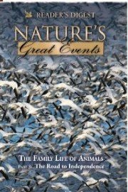 Nature's Great Events: The Family Life of Animals: The Road to Independence