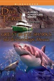 Dive Travel: Great White Sharks - Isla de Guadalupe, Mexico