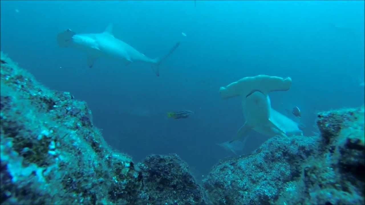 Dive Travel: Costa Rica