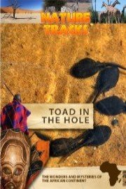 Nature Tracks Toad in the Hole