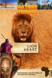 Nature Tracks Lion Heart
