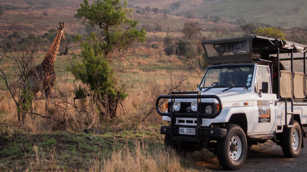 Nature Tracks At the Waterhole
