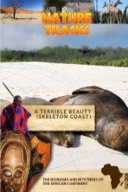 Nature Tracks A Terrible Beauty