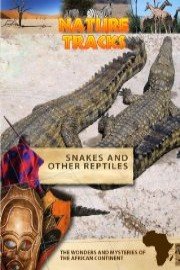 Nature Tracks Snakes and Other Reptiles