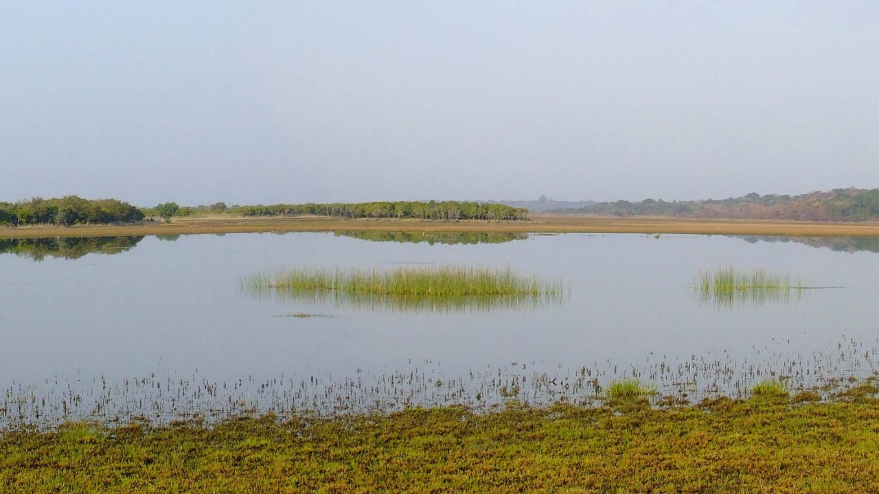 Nature Tracks A Liquid Cradle