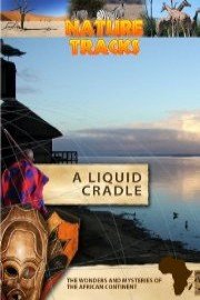 Nature Tracks A Liquid Cradle