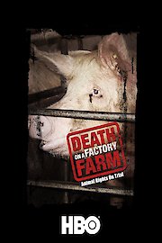 Death on a Factory Farm