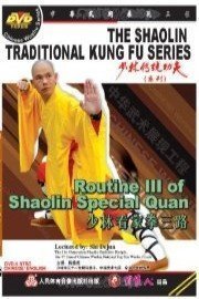 Routine III of Shaolin Special Quan