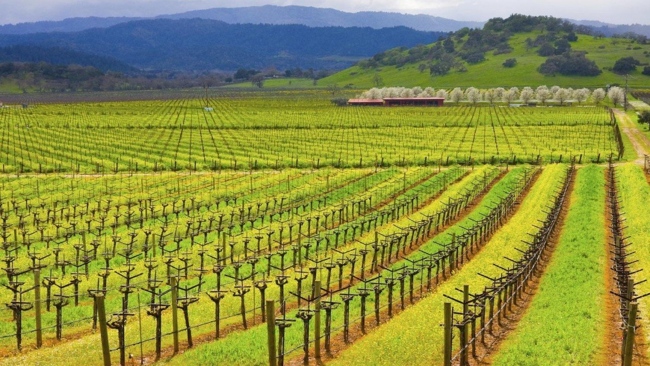 Destination Napa Sonoma Wine Country