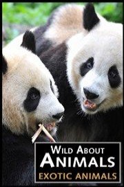 Wild About Animals: Exotic Animals