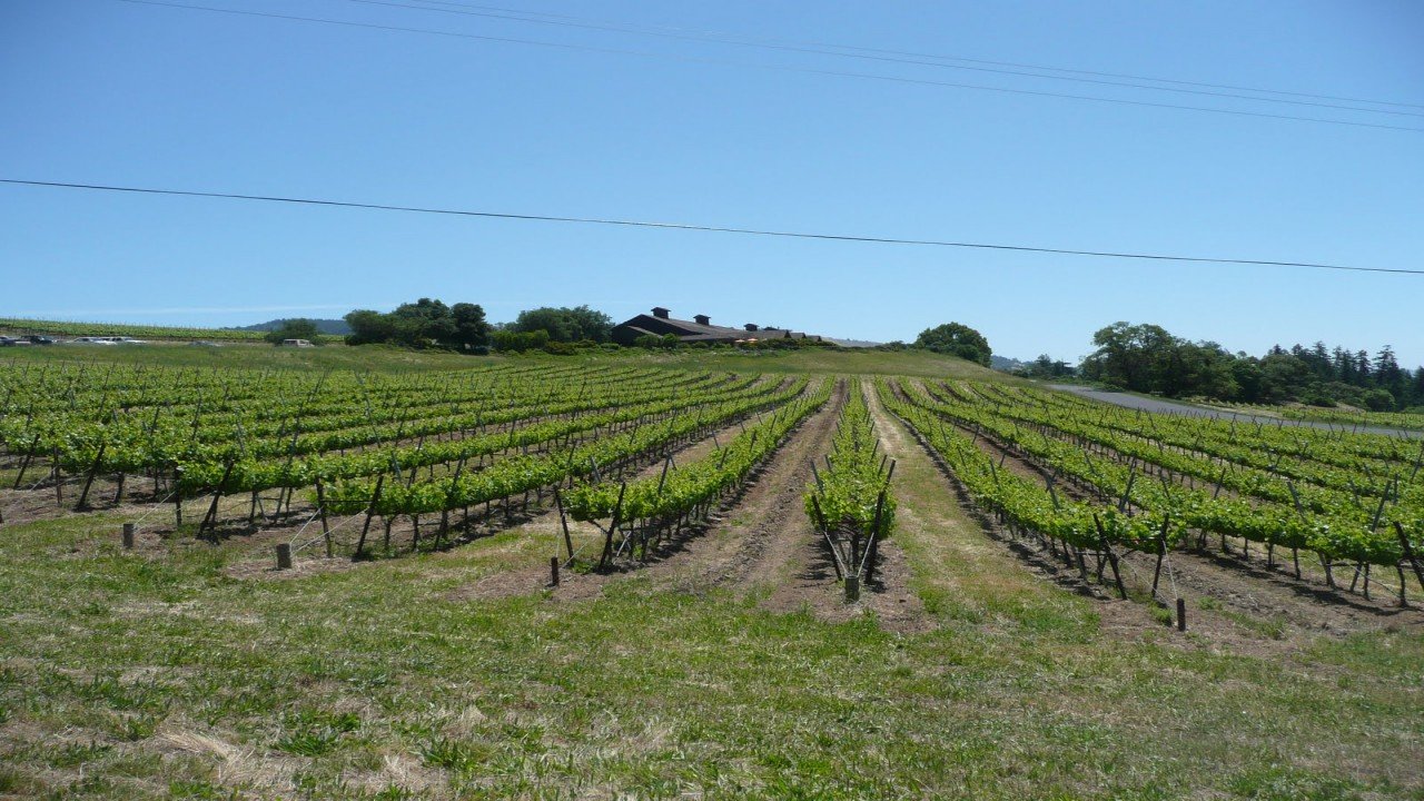 Culinary Travels Mendocino & Sonoma