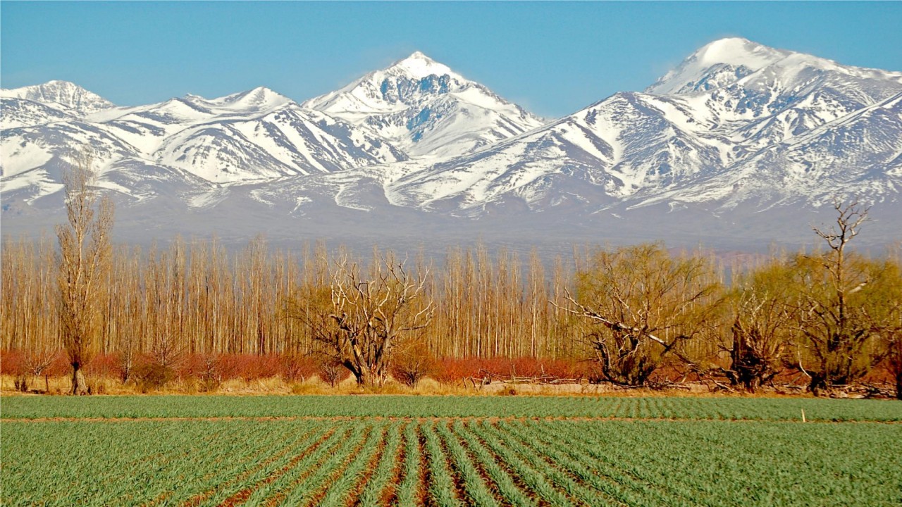 Culinary Travels Magical Mendoza