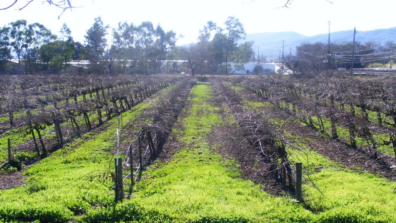 Culinary Travels California and Chile