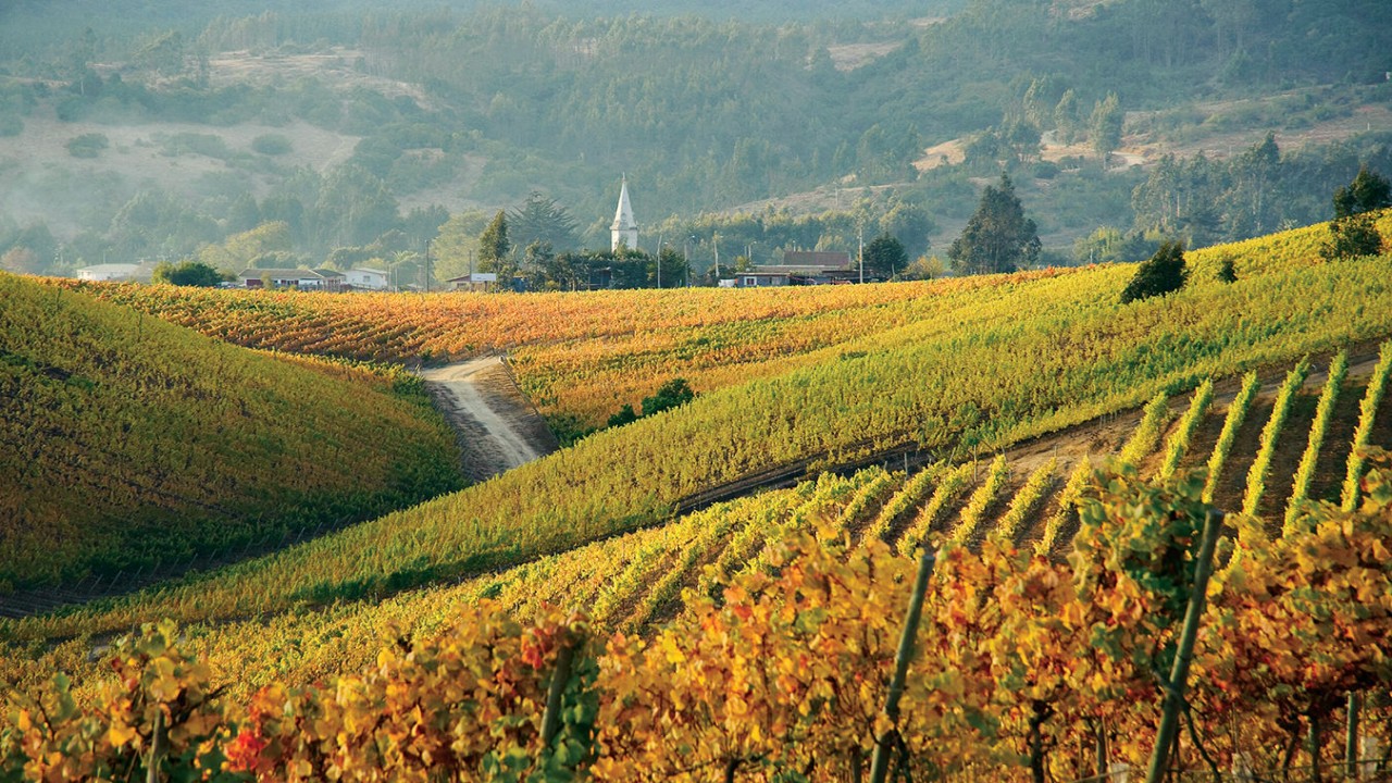 Culinary Travels Chile - Colchagua & Cachapoal