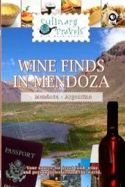 Culinary Travels Wine Finds in Mendoza
