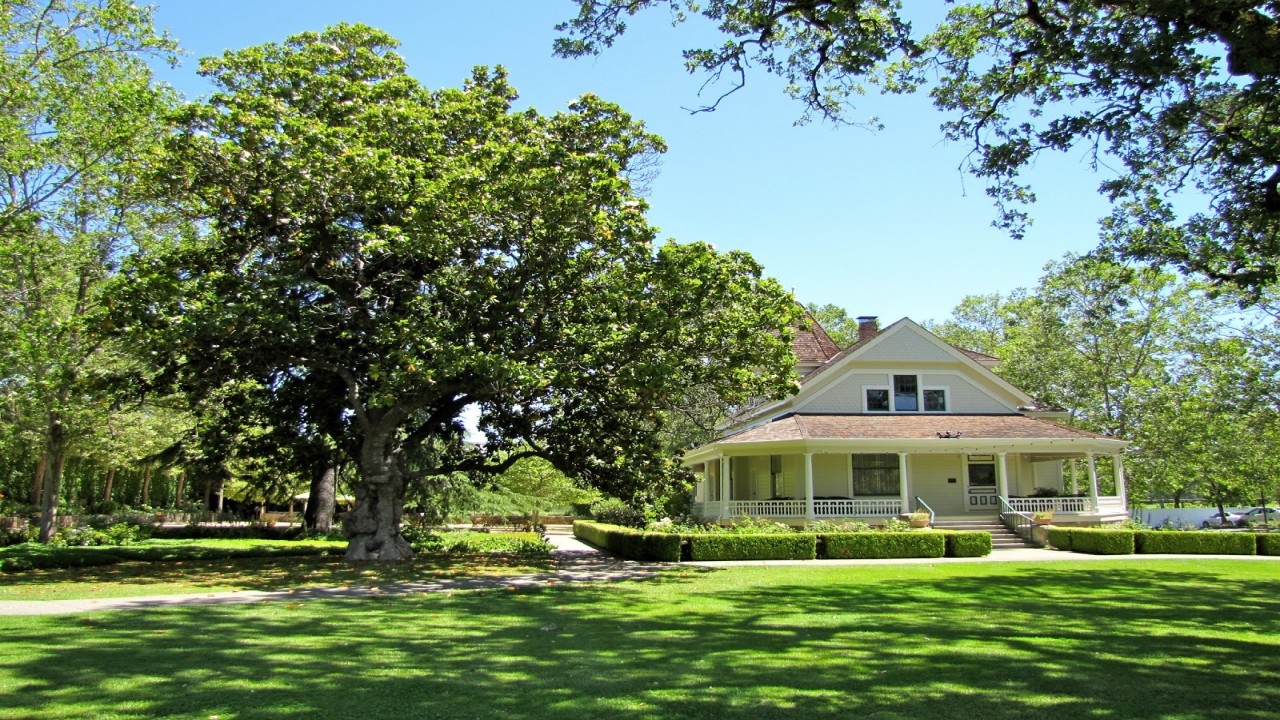 Culinary Travels Saintly wines-Divine nuts