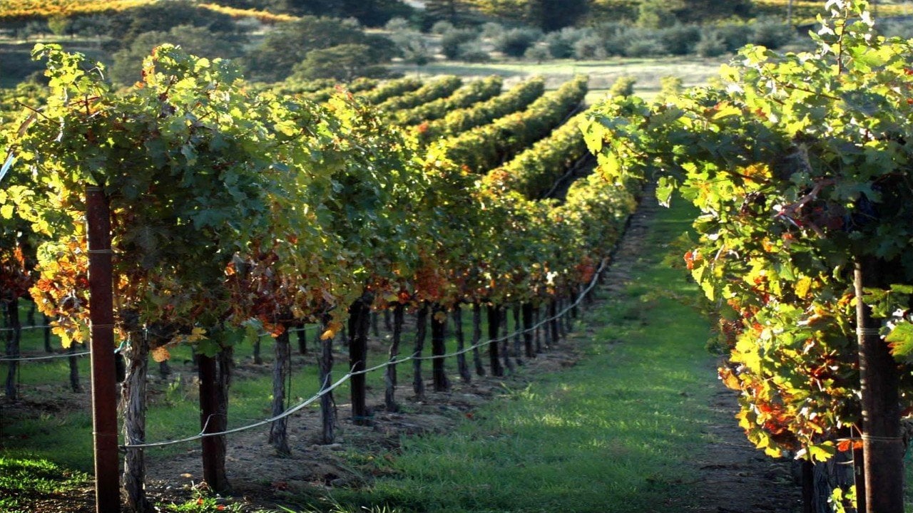 Culinary Travels Livermore Valley and Beyond