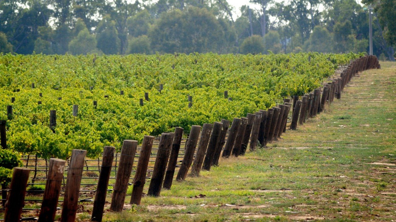 Culinary Travels Aussie Wine-Old and New