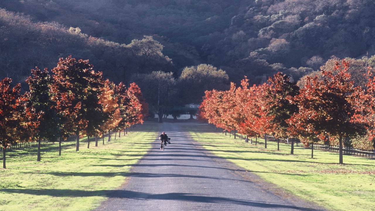 Culinary Travels Mendicino Memories and East Bay Delights