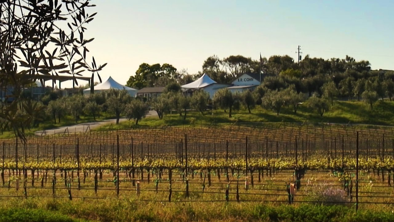 Culinary Travels The Best of Napa and Sonoma