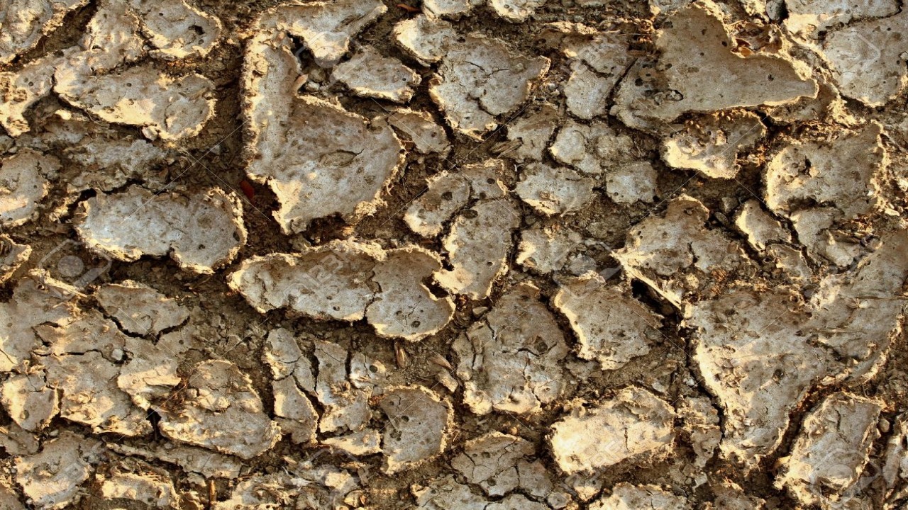Extreme Environments Drought