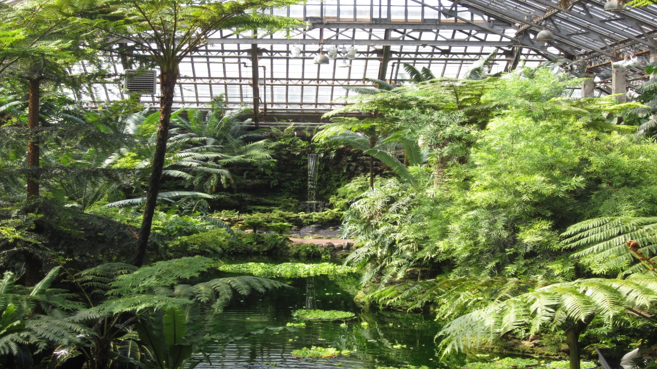 Garden Travels: Organic Apples and Garfield Conservatory, Chicago