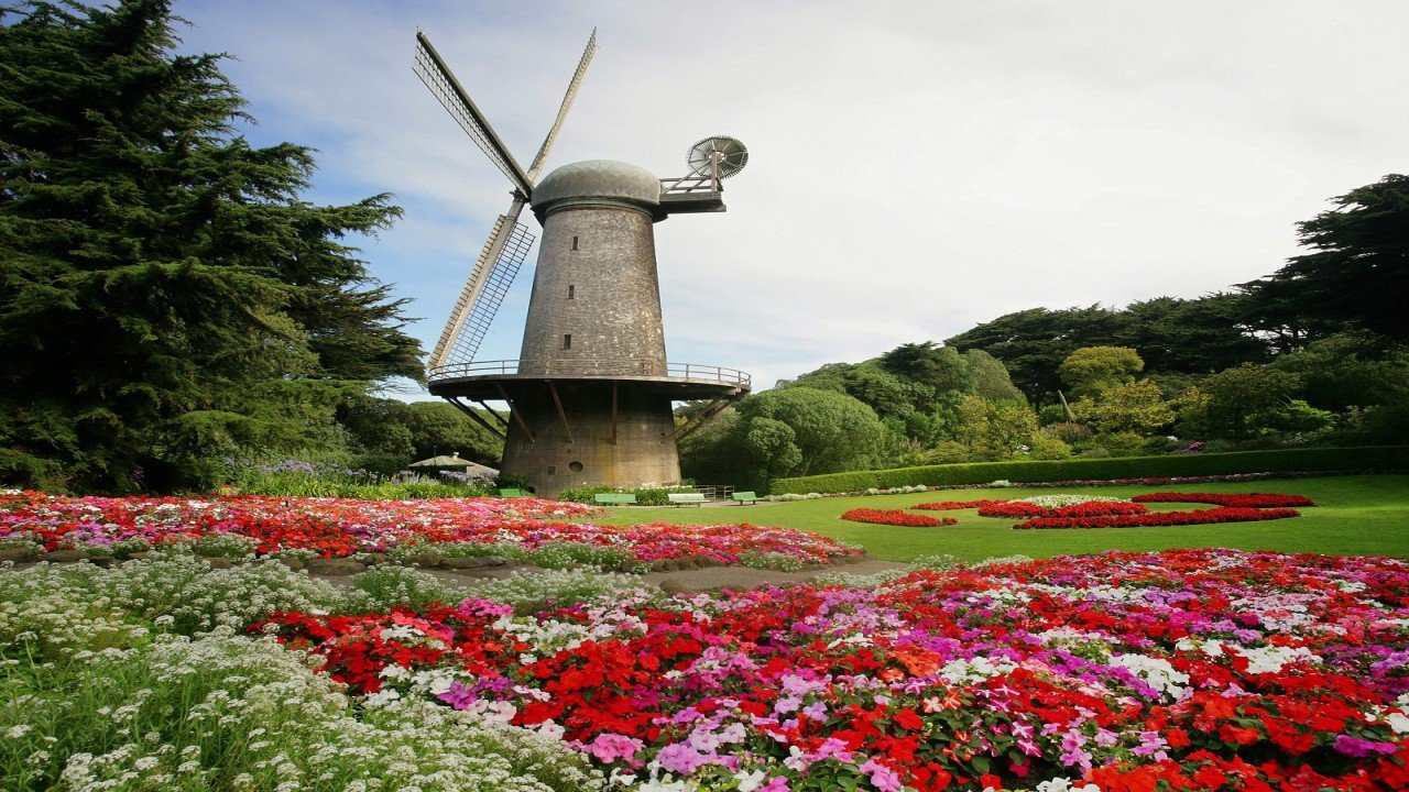 Garden Travels: Golden Gate Park and A Big City Forest