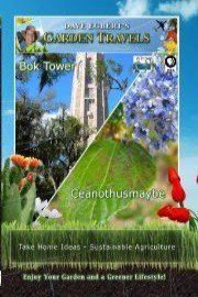 Garden Travels: Bok Tower and Ceanothusmaybe