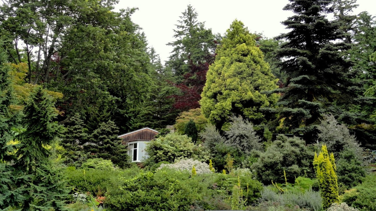 Garden Travels: Organic Wines and Great Plants Picks!