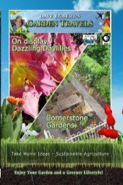 Garden Travels: On display, Dazzling Daylilies and Cornerstone Gardens