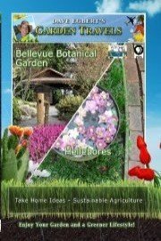 Garden: Travels Bellevue Botanical Garden and Hellebores