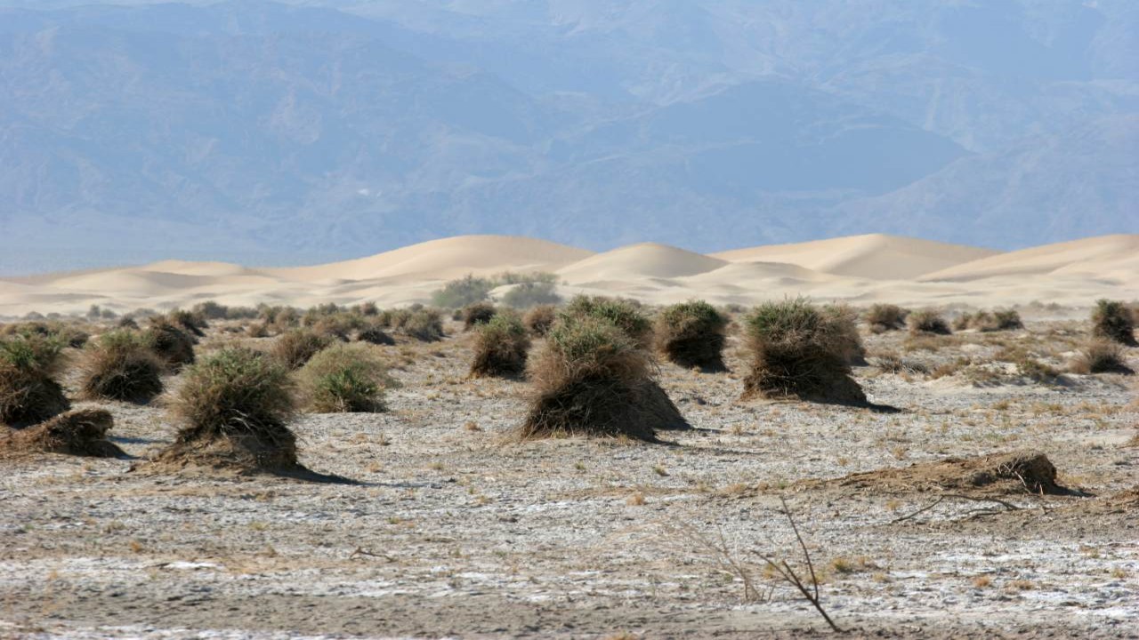 Cosmos Global Documentaries PARADISE ON EARTH Episode 3