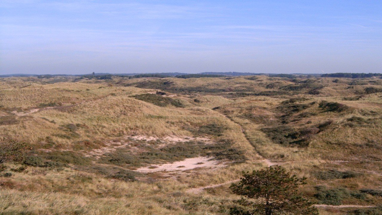 Back Roads of Europe: North Kennemerland The Netherlands