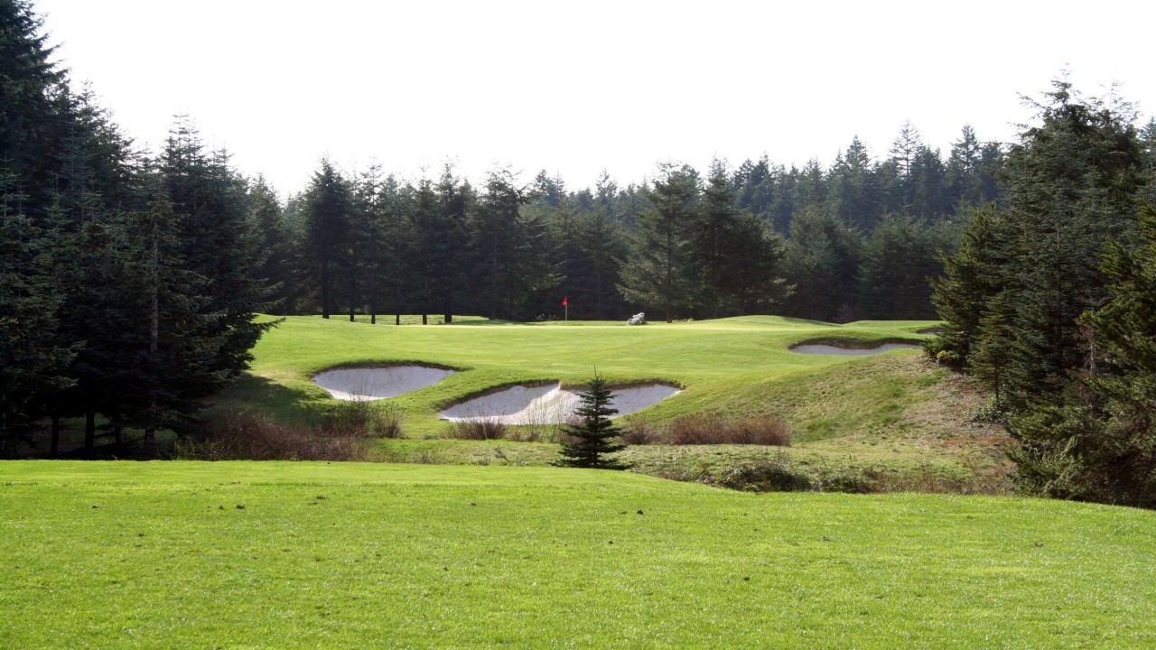 Good Time Golf Seattle/Kitsap