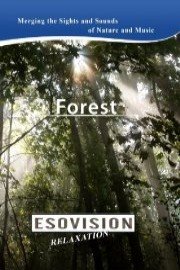 ESOVISION Relaxation FOREST