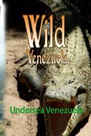 Wild Venezuela Undersea Venezuela