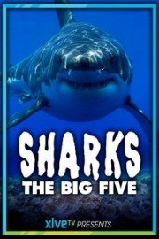 Sharks: The Big Five