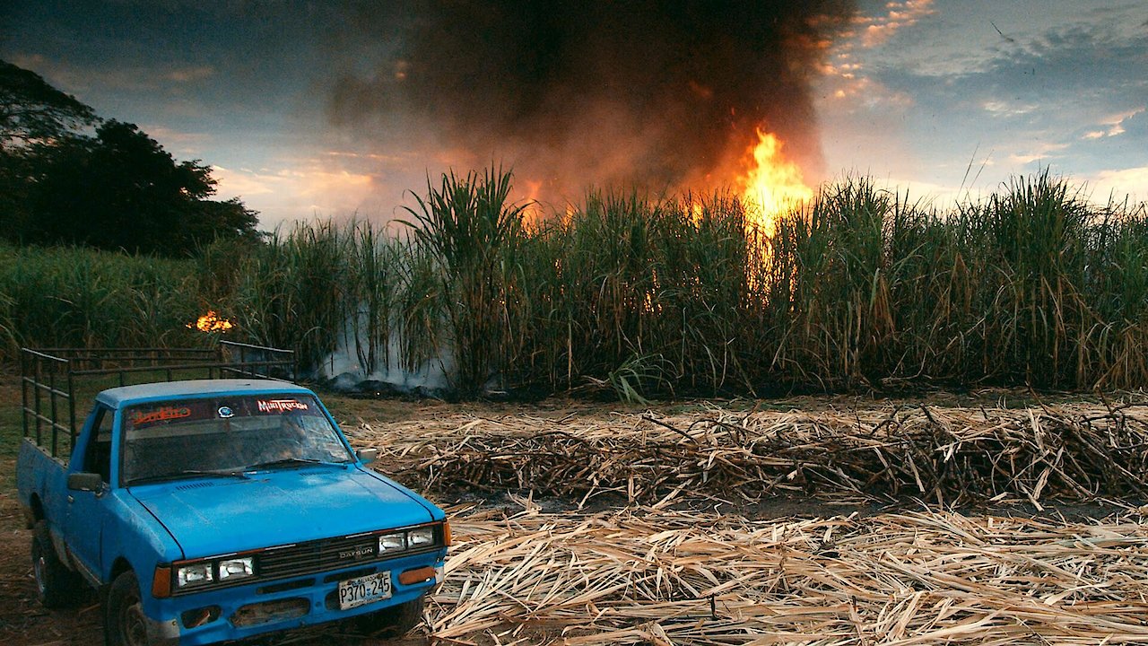 This Changes Everything