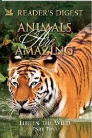 Animals Are Amazing: Life in the Wild: Part Two
