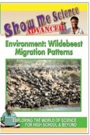 Environment: Wildebeest Migration Patterns