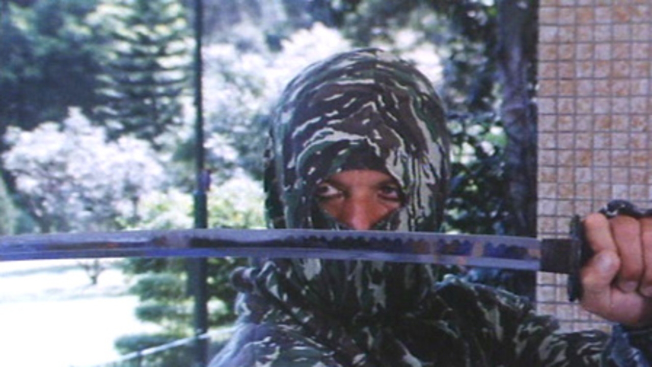 Ninja: The Protecter