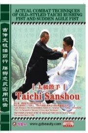 Taichi Sanshou