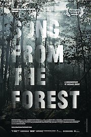Song From The Forest