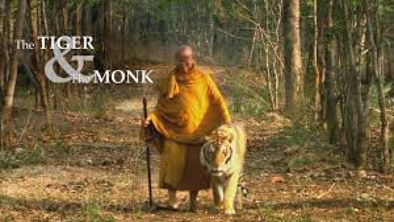 The Tiger and the Monk