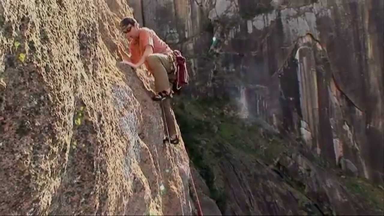 Monkey See, Monkey Do