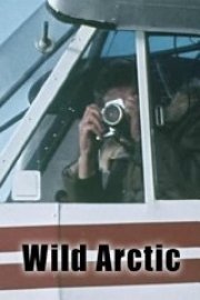 Wild Arctic