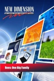 Bees: One Big Family