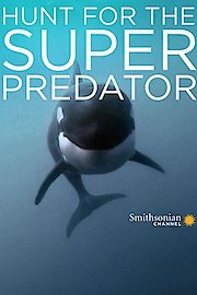Hunt for the Super Predator