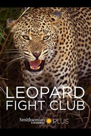 Leopard Fight Club