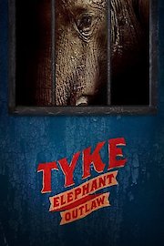 Tyke: Elephant Outlaw